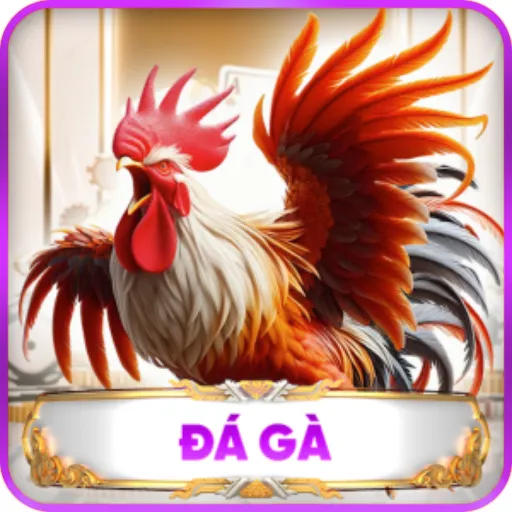 đá gà