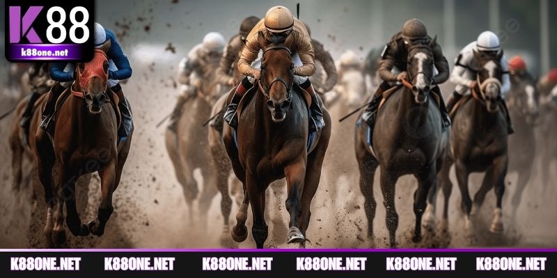 Cập nhật luật cá cược đua ngựa chi tiết 