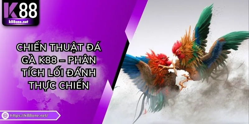 Chiến Thuật Đá Gà K88 – Phân Tích Lối Đánh Thực Chiến