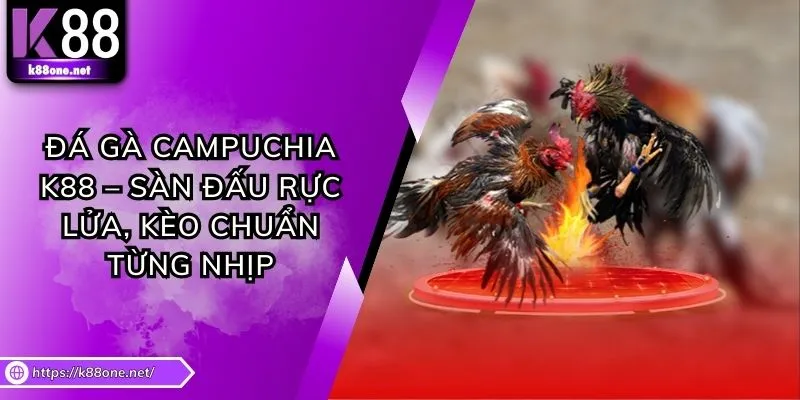 Đá Gà Campuchia K88 – Sàn Đấu Rực Lửa, Kèo Chuẩn Từng Nhịp