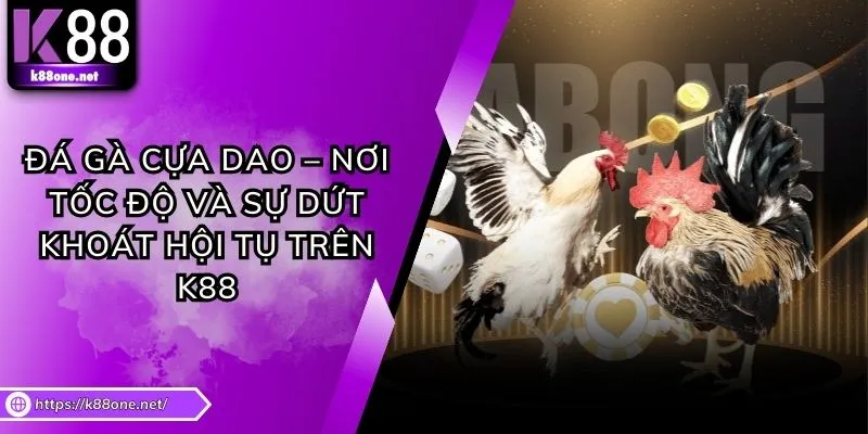 Đá Gà Cựa Dao – Nơi Tốc Độ Và Sự Dứt Khoát Hội Tụ Trên K88