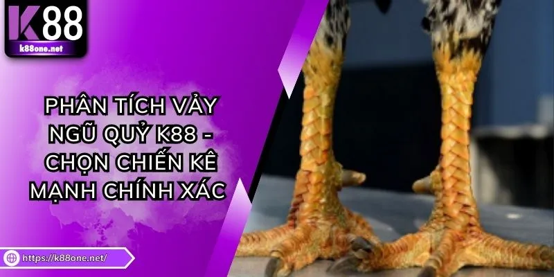 Phân Tích Vảy Ngũ Quỷ K88 - Chọn Chiến Kê Mạnh Chính Xác 